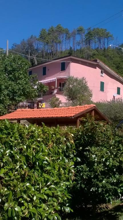 Graziella * Vernazza